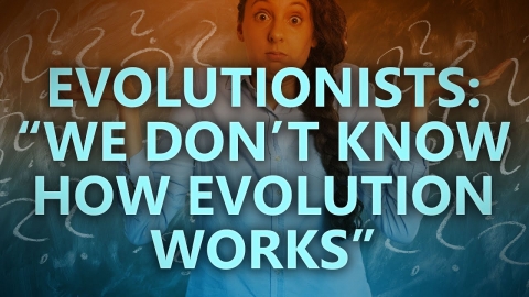Evolutionists: “We don’t know how evolution works”
