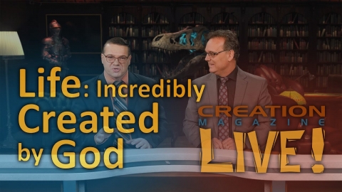 Life: Incredibly created by God