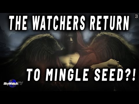 WILL THE WATCHERS RETURN TO 
