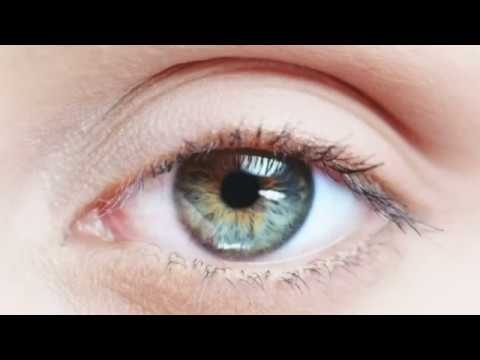 To The Point -  The Human Eye
