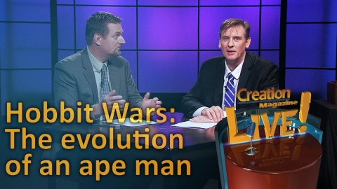 Hobbit Wars: The evolution of an ape man (Creation Magazine LIVE!...