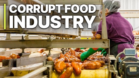 Corrupt Food Industry | Hidden Work | Dangerous...