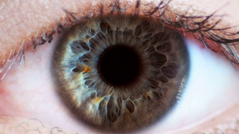 The Human Eye is Miraculous