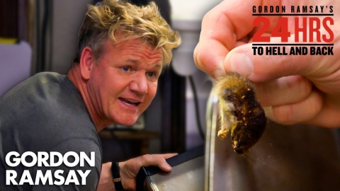 Gordon Finds Dead Mice, Cockroaches & MORE... | 24 Hours to Hell &...