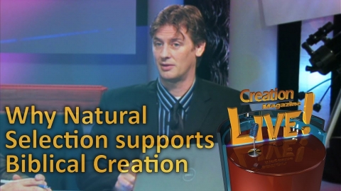 How natural selection supports a recent creation -- Creation Magazine...