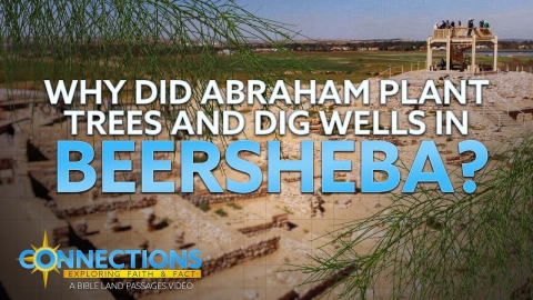 Why Did Abraham Plant Trees and Dig Wells in Beersheba? | BLP...
